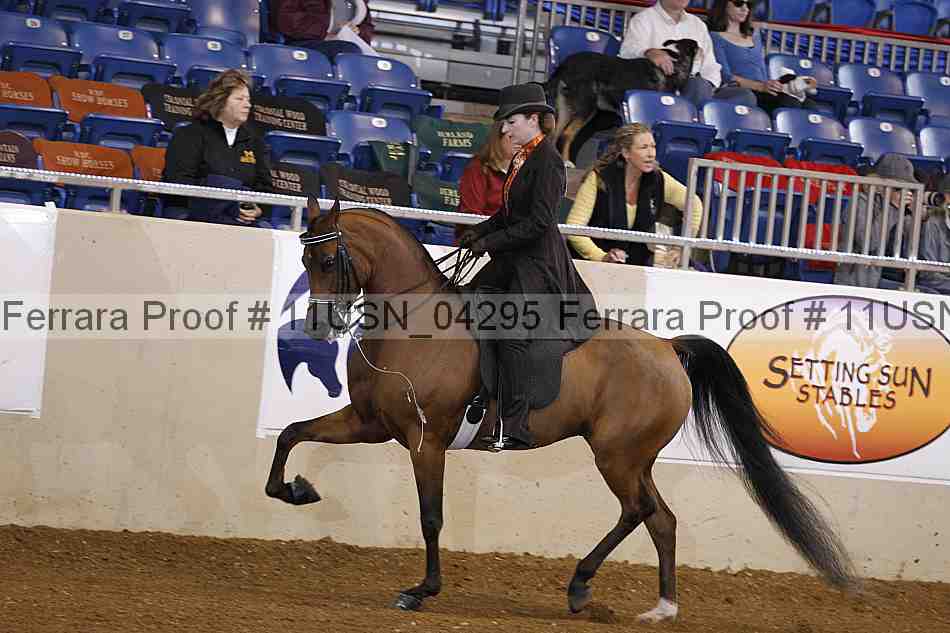 Proof 11usn_04295