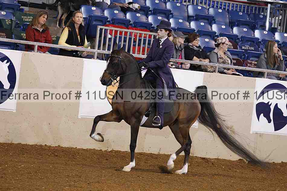 Proof 11usn_04299