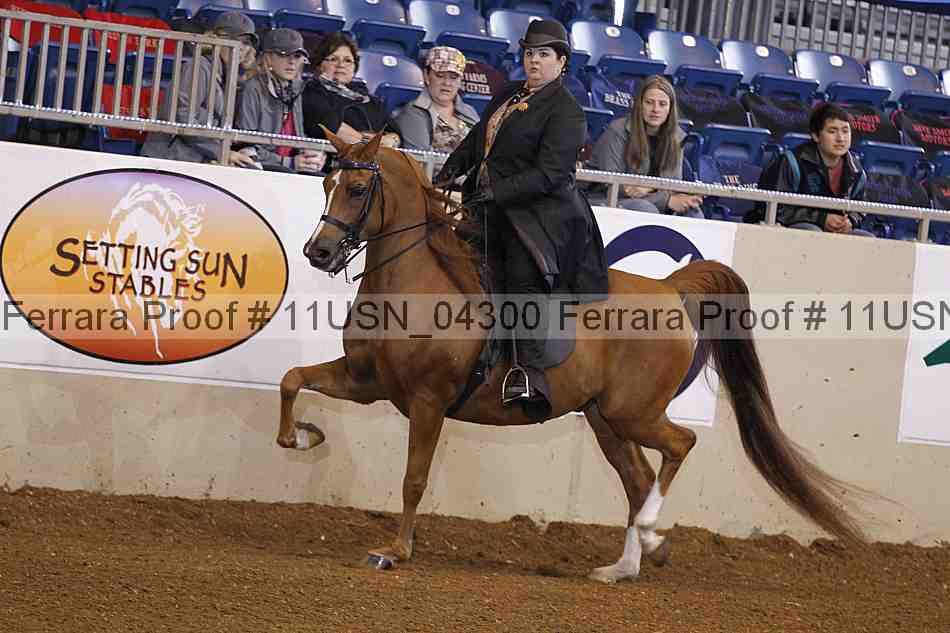 Proof 11usn_04300