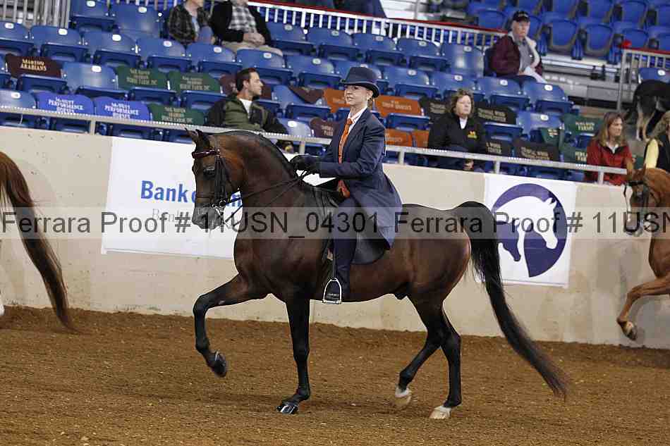 Proof 11usn_04301