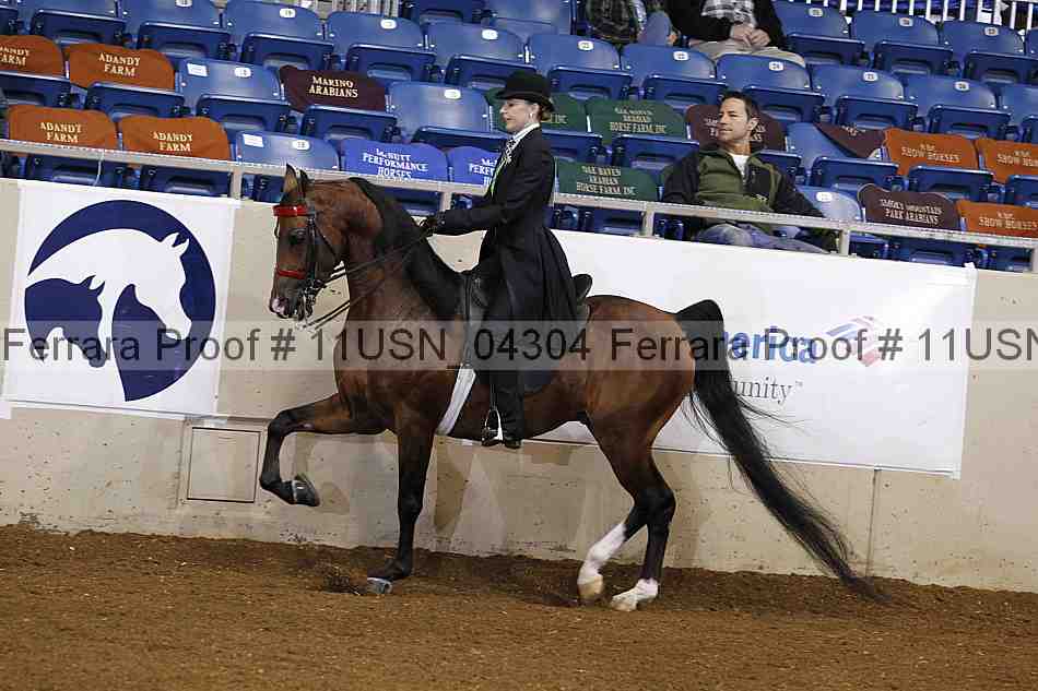 Proof 11usn_04304