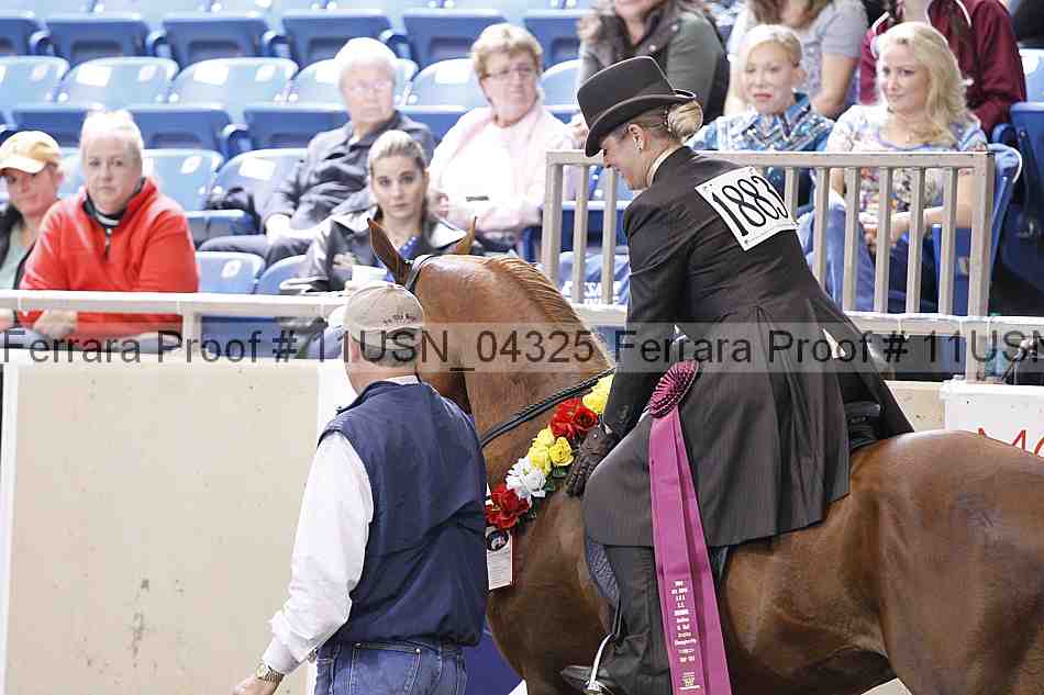 Proof 11usn_04325