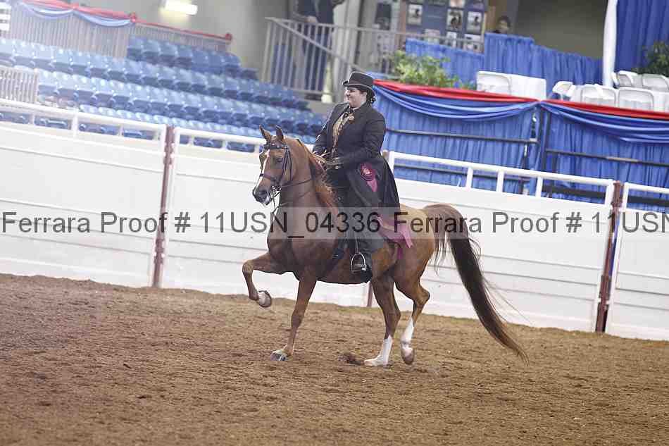 Proof 11usn_04336