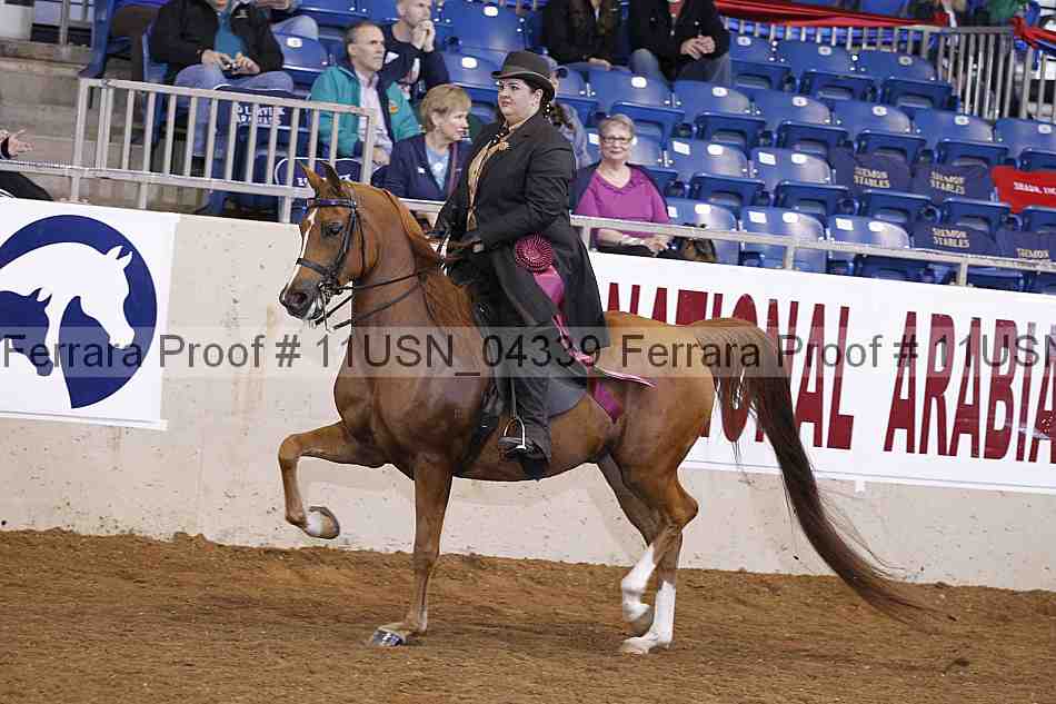 Proof 11usn_04339