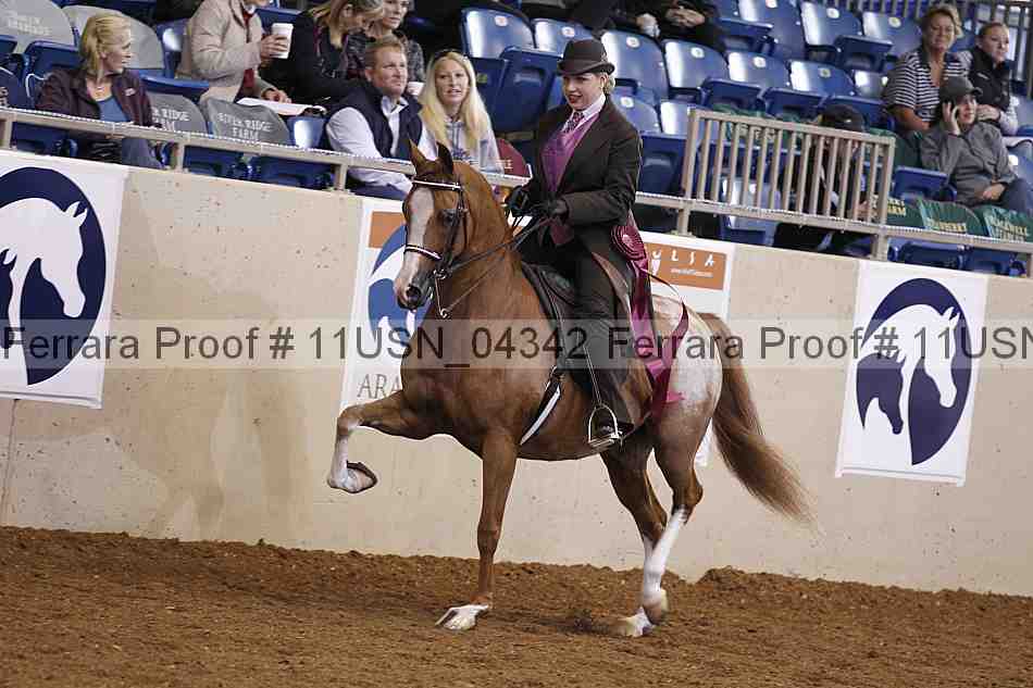 Proof 11usn_04342