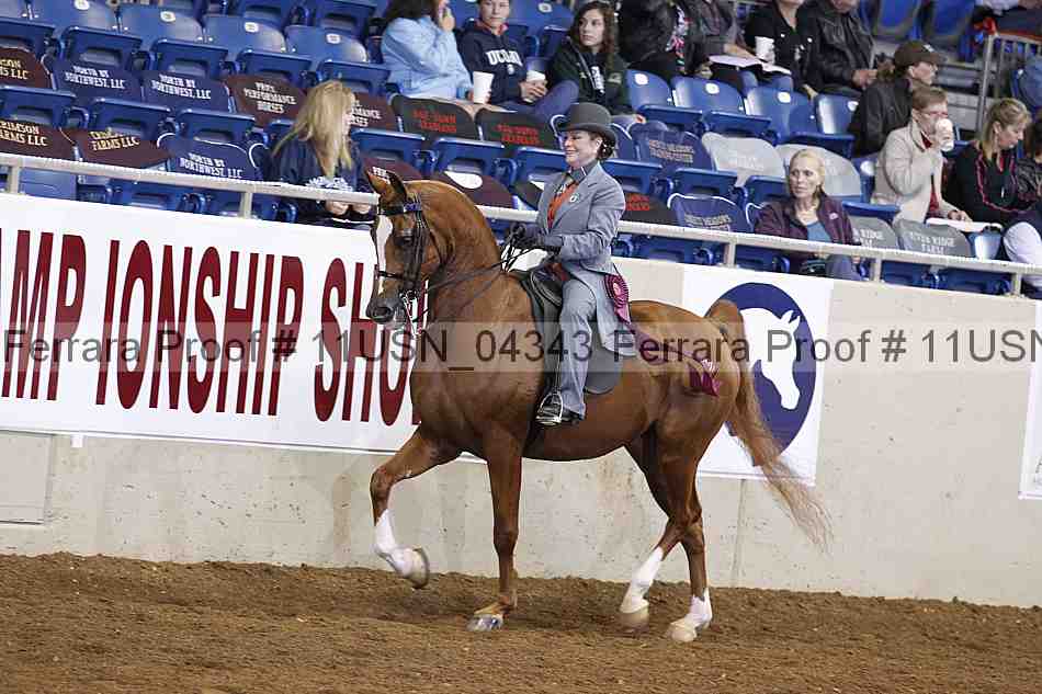 Proof 11usn_04343