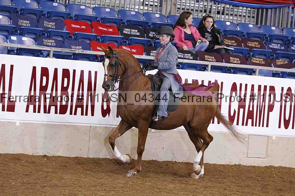 Proof 11usn_04344