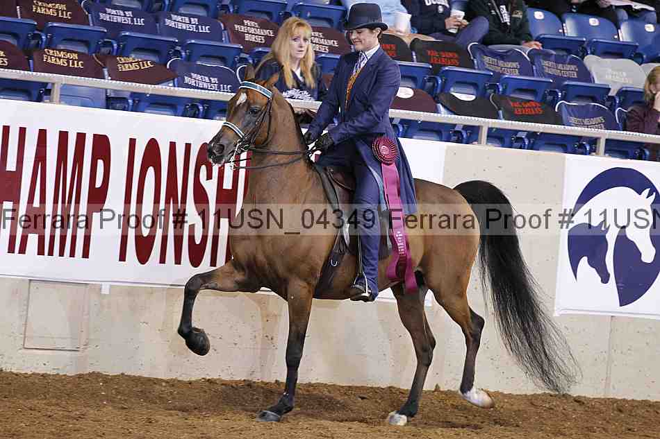 Proof 11usn_04349