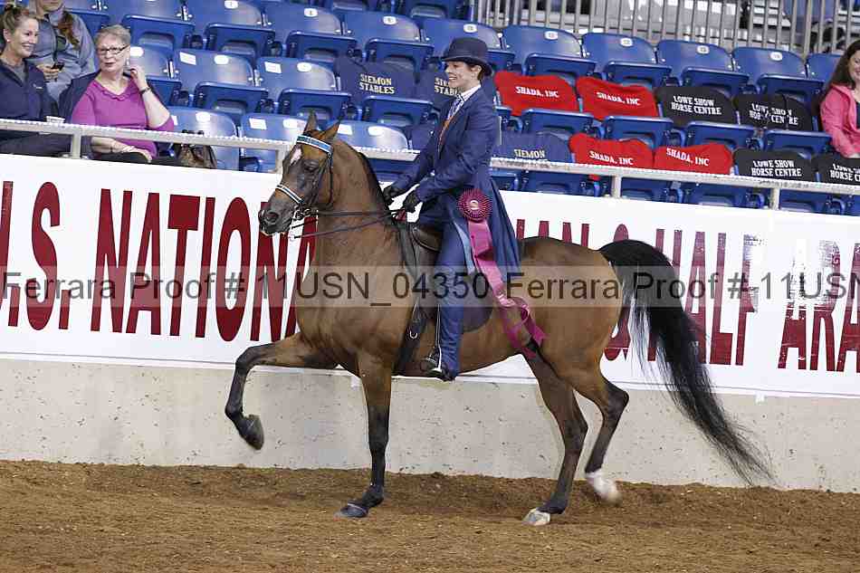 Proof 11usn_04350