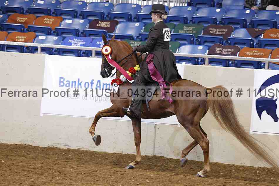 Proof 11usn_04354