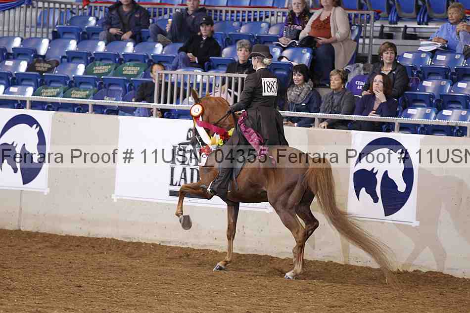 Proof 11usn_04355