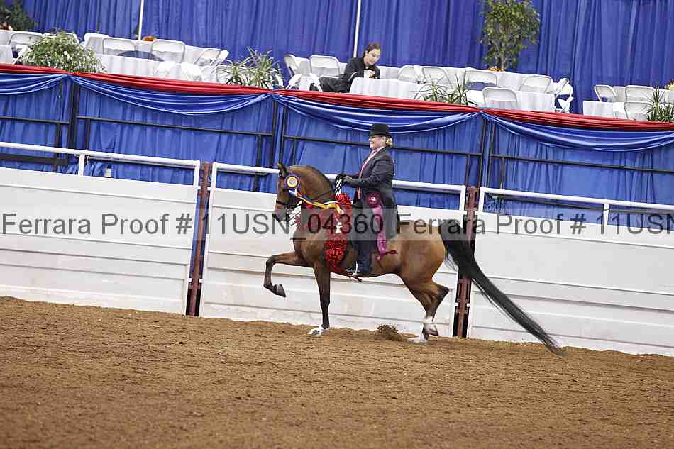 Proof 11usn_04360