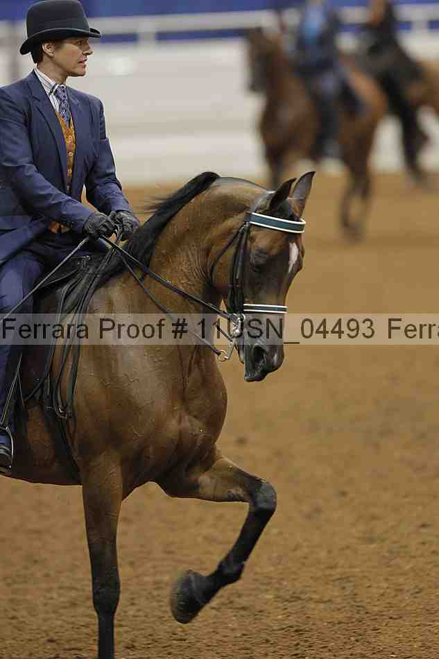 Proof 11usn_04493