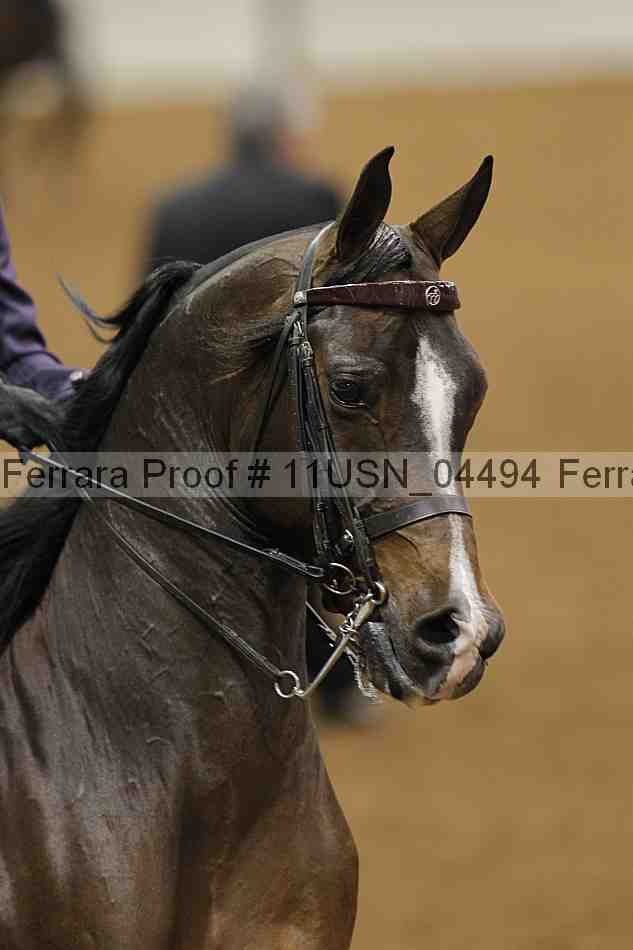 Proof 11usn_04494