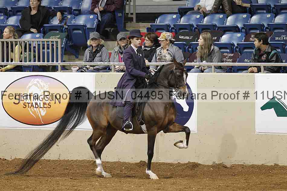 Proof 11usn_04495
