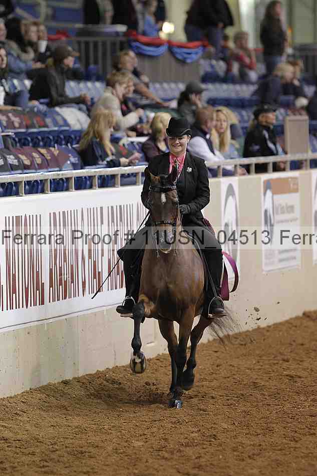 Proof 11usn_04513