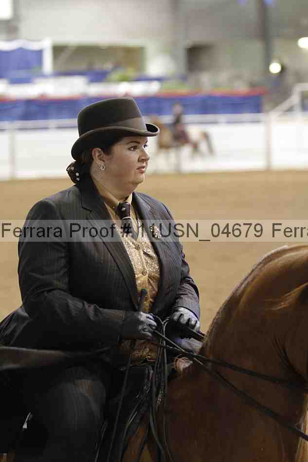 Proof 11usn_04679