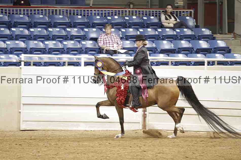 Proof 11usn_04688