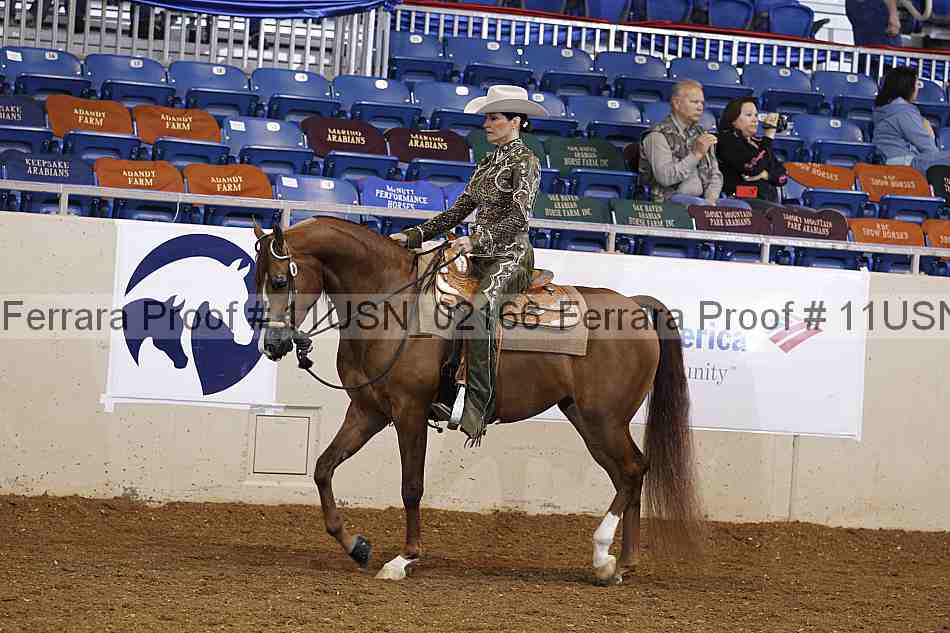 Proof 11usn_02166