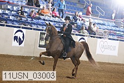 11usn_03003 proof