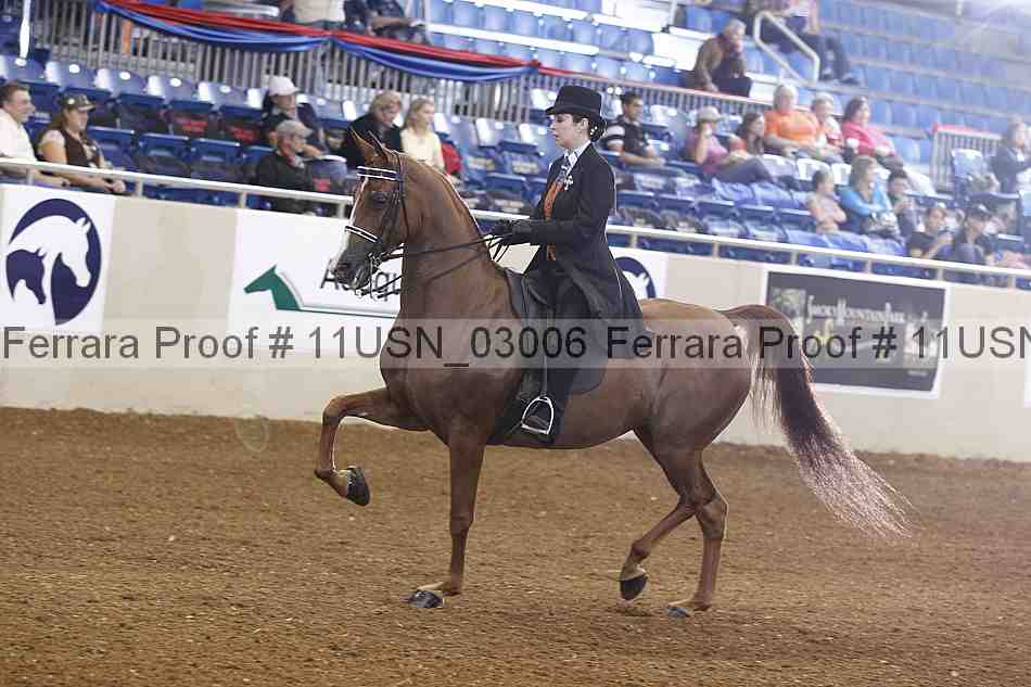 Proof 11usn_03006