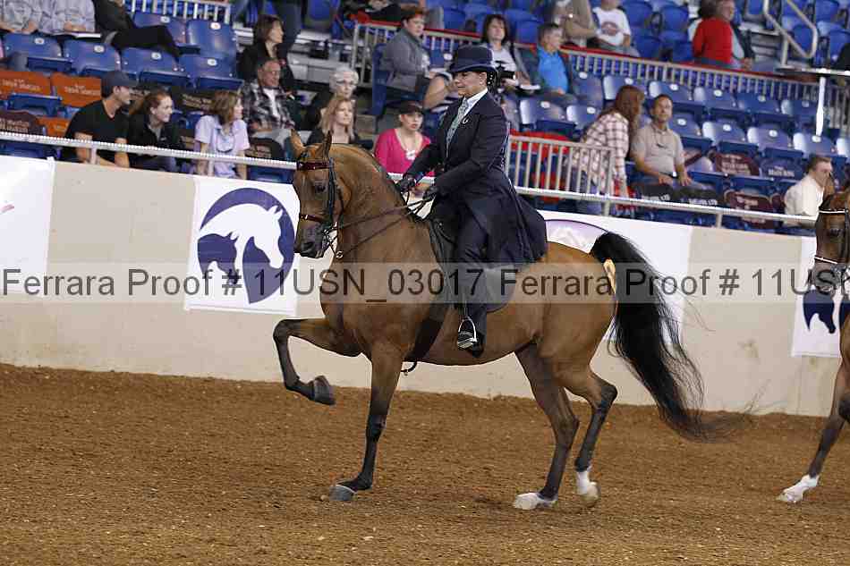 Proof 11usn_03017