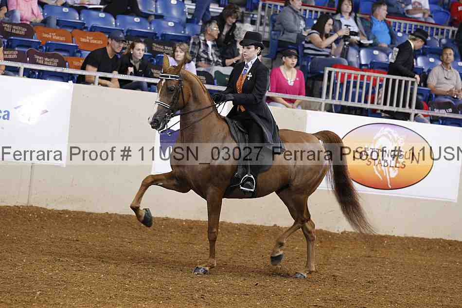 Proof 11usn_03027