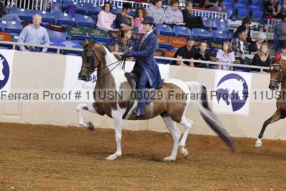 Proof 11usn_03029