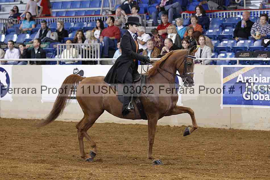 Proof 11usn_03032
