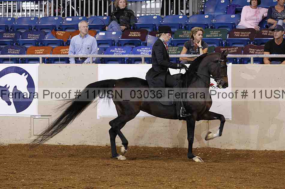 Proof 11usn_03036