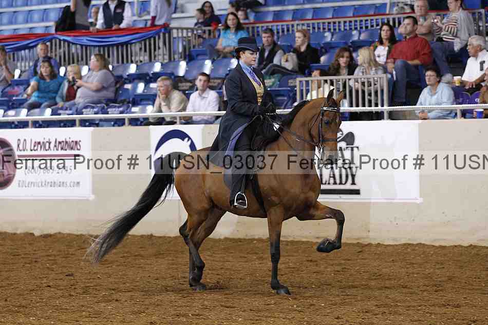 Proof 11usn_03037