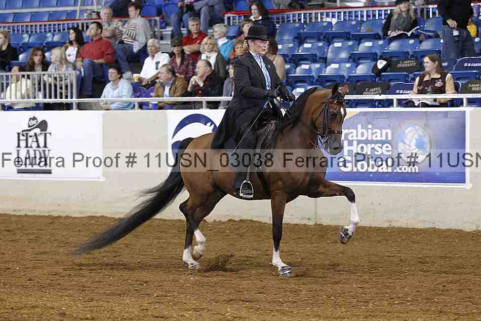 Proof 11usn_03038