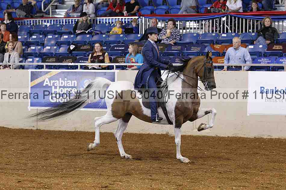 Proof 11usn_03040