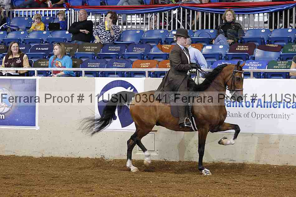 Proof 11usn_03041