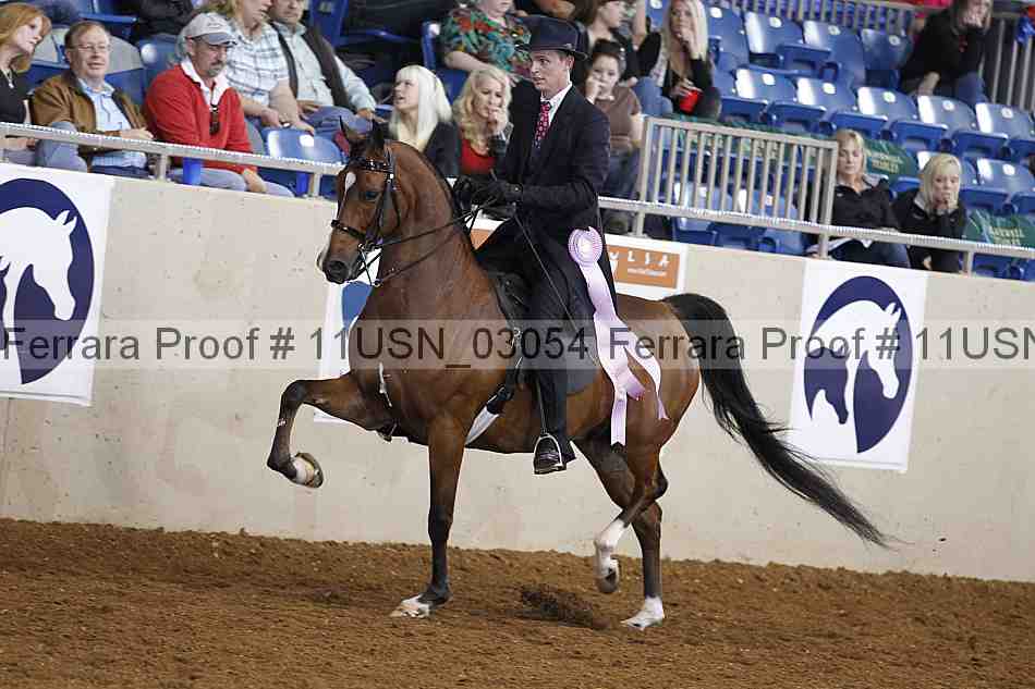 Proof 11usn_03054