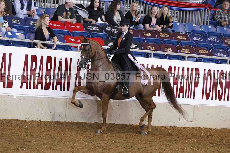 Proof 11usn_03057