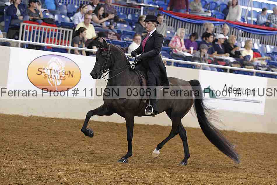 Proof 11usn_03061