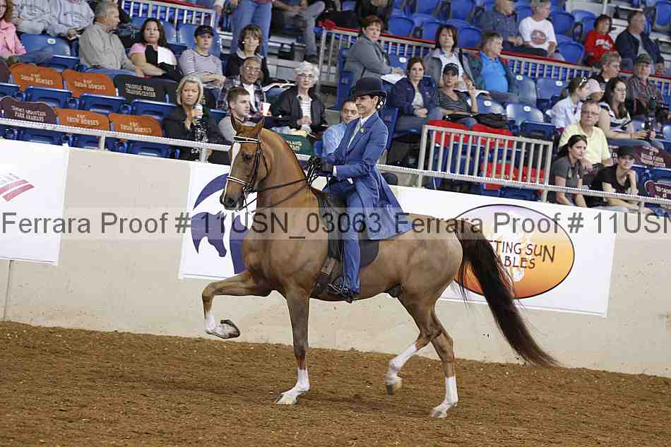 Proof 11usn_03063