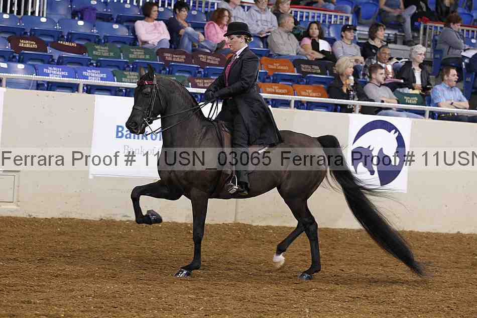 Proof 11usn_03065