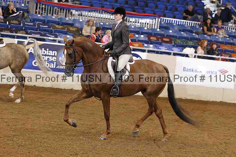 Proof 11usn_11403