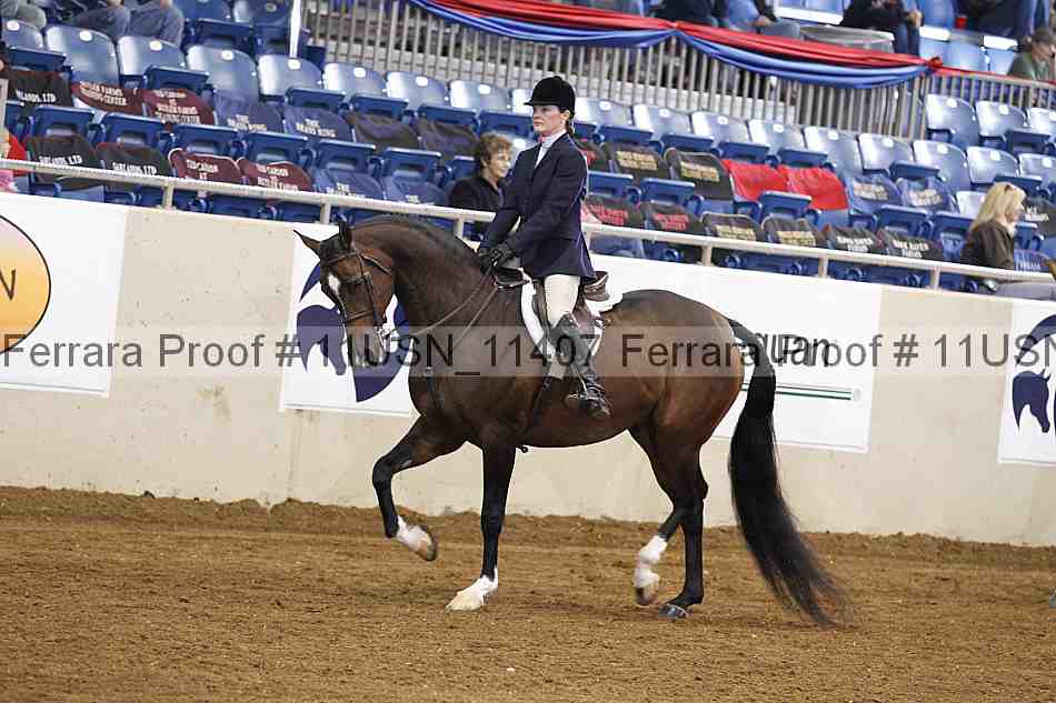 Proof 11usn_11407