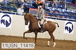 11usn_11418 proof