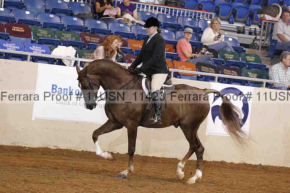 Proof 11usn_11423