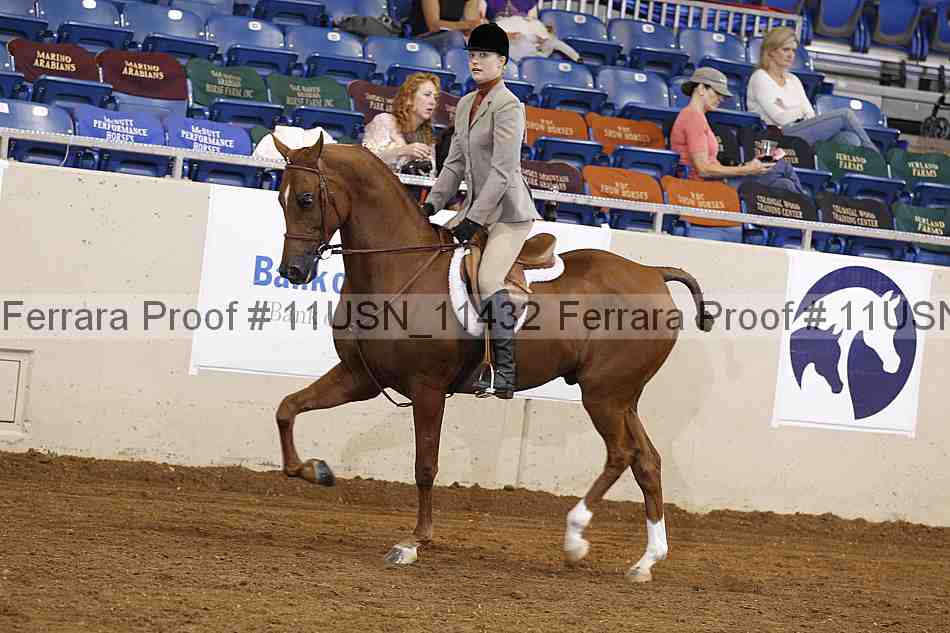 Proof 11usn_11432