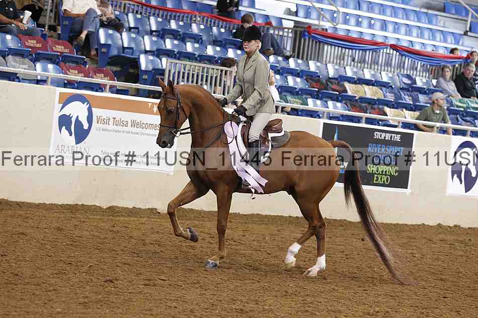 Proof 11usn_11445