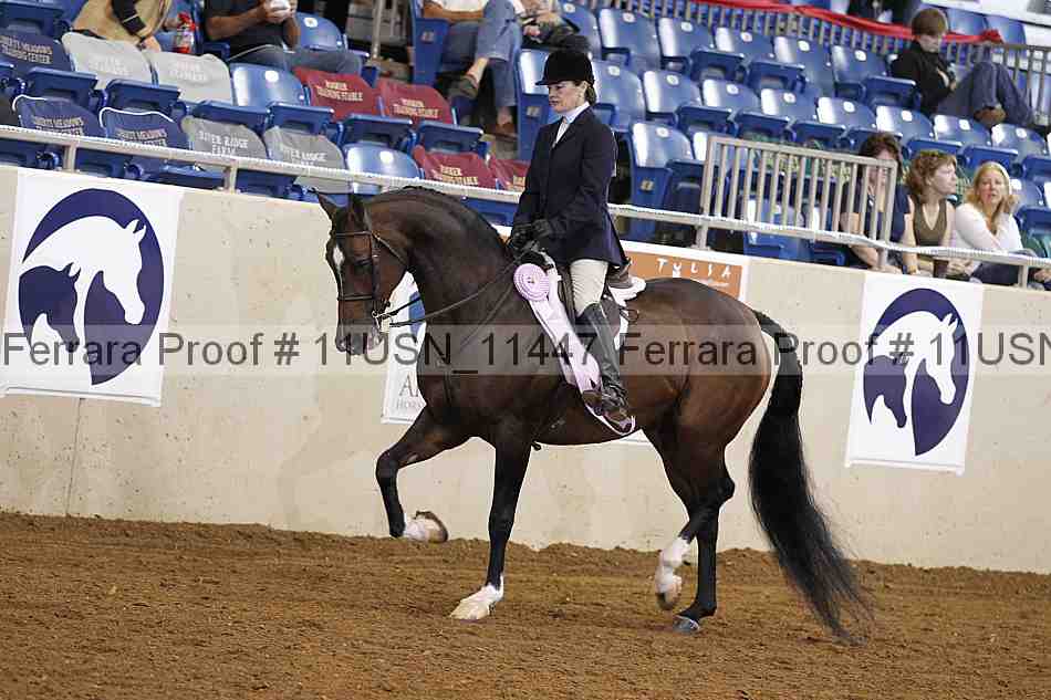Proof 11usn_11447