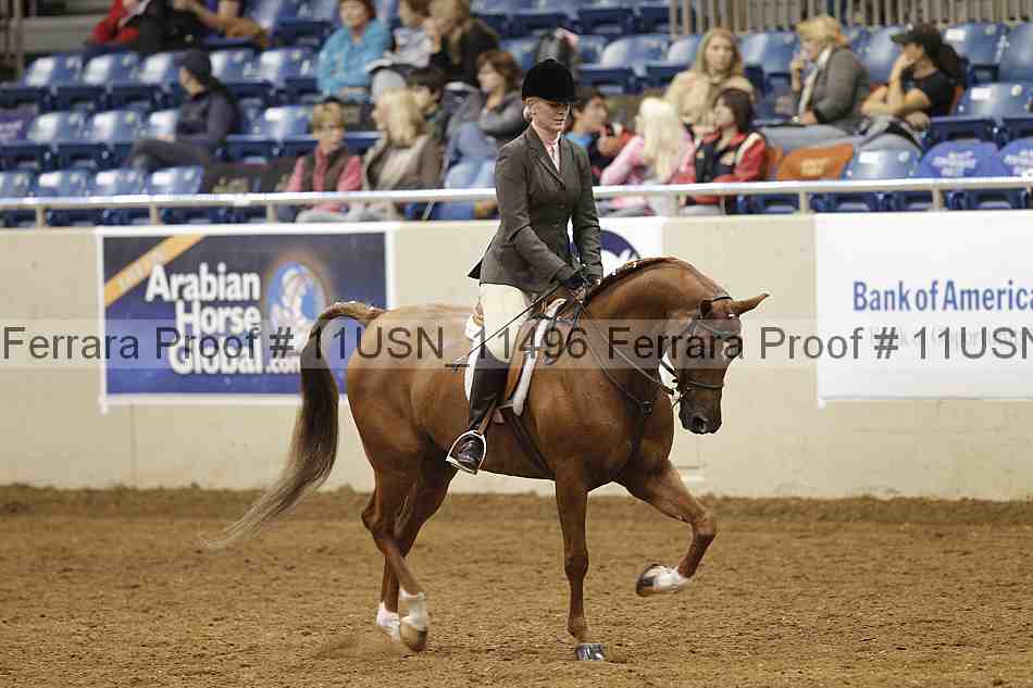 Proof 11usn_11496