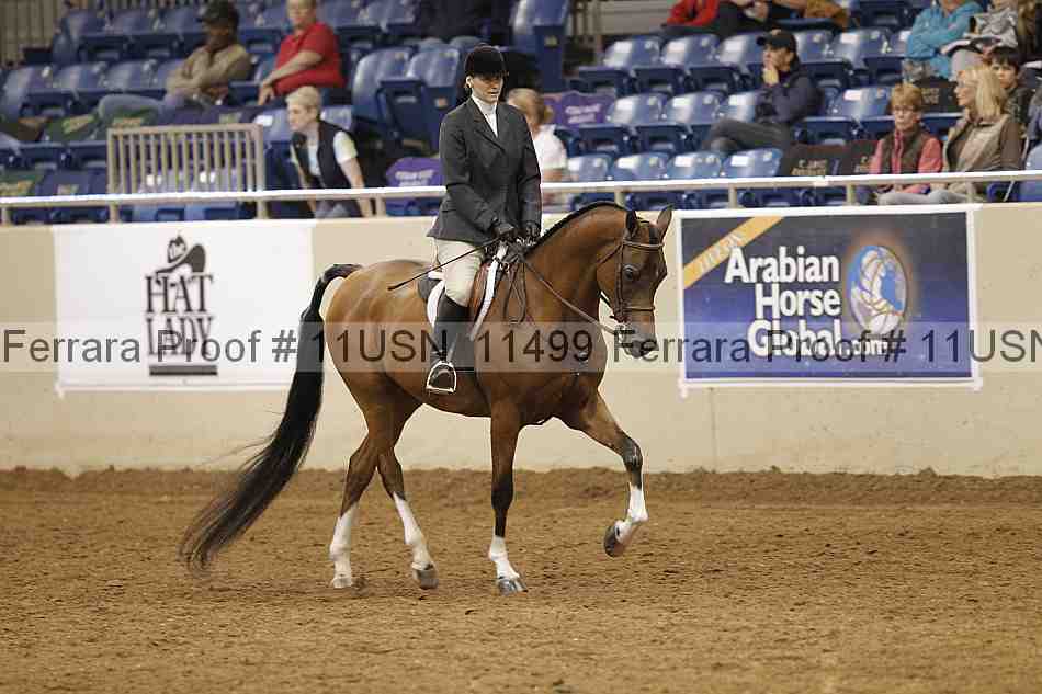 Proof 11usn_11499
