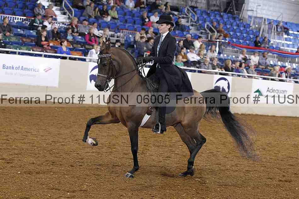 Proof 11usn_06005