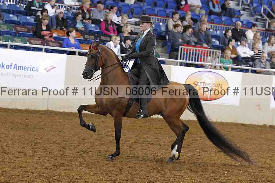 Proof 11usn_06006